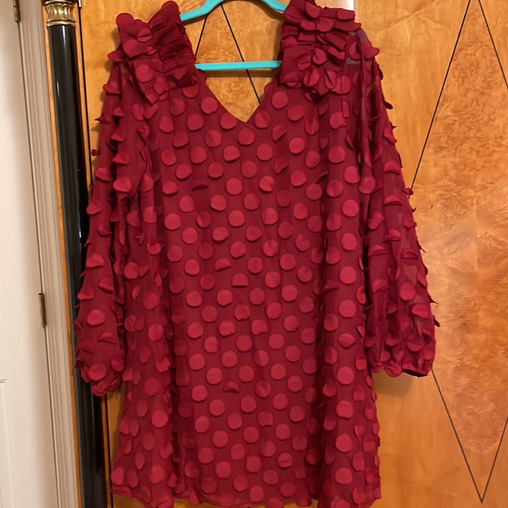 Jodifl Party Dress - Picture 3 of 5